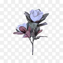 采购产品花 植物 切花-空若网 采购产品花 植物 切花-空若网