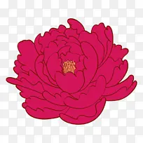 粉色 花朵 花瓣-空若网 粉色 花朵 花瓣-空若网