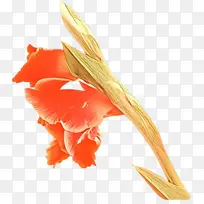 卡通 橙色 羽毛-空若网 卡通 橙色 羽毛-空若网