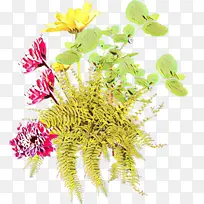 卡通 花 植物-空若网 卡通 花 植物-空若网