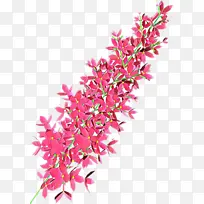 ��ͨ ��ɫ ����-������