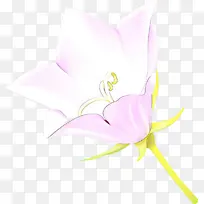 ��ͨ ��ɫ ��ɫ-������