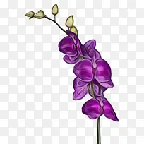 水彩画 颜料 湿墨-空若网 水彩画 颜料 湿墨-空若网