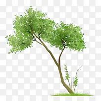 水彩 油漆 湿墨-空若网 水彩 油漆 湿墨-空若网