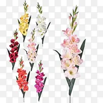 采购产品花 开花植物 植物-空若网 采购产品花 开花植物 植物-空若网