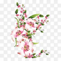 �� ����ֲ�� ��ɫ-������