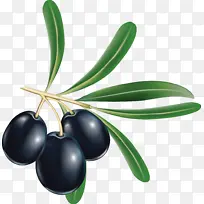 ��� ˮ�� ֲ��-������