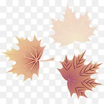 树叶 枫叶 树木-空若网 树叶 枫叶 树木-空若网