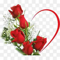 花朵 红色 花瓣-空若网 花朵 红色 花瓣-空若网