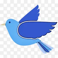 翅膀 鸟 喙-空若网 翅膀 鸟 喙-空若网