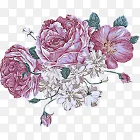 花 粉色 植物-空若网 花 粉色 植物-空若网