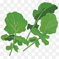 Ҷ �� ֲ��-������