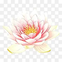 ��ͨ ���� ��ɫ-������