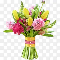 采购产品花 开花植物 花束-空若网 采购产品花 开花植物 花束-空若网