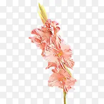 ��ͨ ���� �л�-������