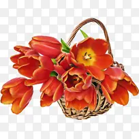 花 橘子 花瓣-空若网 花 橘子 花瓣-空若网