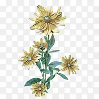 花 植物 开花植物-空若网 花 植物 开花植物-空若网