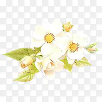 卡通 花朵 白色-空若网 卡通 花朵 白色-空若网