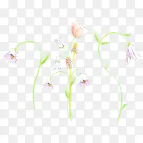 卡通 花梗 花-空若网 卡通 花梗 花-空若网