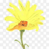 卡通 花卉 黄色-空若网 卡通 花卉 黄色-空若网