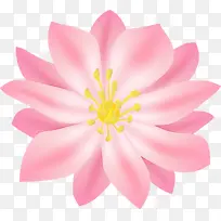 ˮ�� ���� ʪī-������