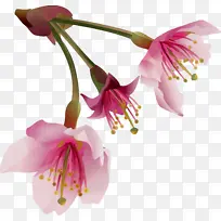 水彩 颜料 湿墨-空若网 水彩 颜料 湿墨-空若网