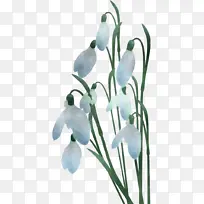 ������˹ ѩ�� ��-������