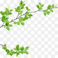 叶 植物 花-空若网 叶 植物 花-空若网