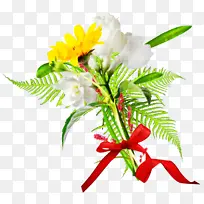 �ɹ���Ʒ�� ֲ�� �л�-������