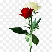 水彩 油漆 湿墨-空若网 水彩 油漆 湿墨-空若网