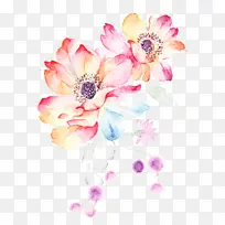 粉色 花瓣 花朵-空若网 粉色 花瓣 花朵-空若网