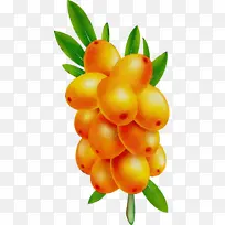 水彩 油漆 湿墨-空若网 水彩 油漆 湿墨-空若网