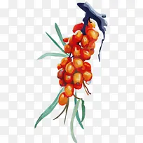 Ë®²Ê» ÑÕÁÏ ÊªÄ«-¿ÕÈôÍø Ë®²Ê» ÑÕÁÏ ÊªÄ«-¿ÕÈôÍø