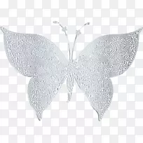 蝴蝶昆虫翅膀银夹艺术翅膀-空若网 蝴蝶昆虫翅膀银夹艺术翅膀-空若网