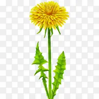 ˮ�ʻ� ���� ʪī-������