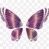 蝴蝶桌面壁纸电脑图标摄影剪贴画翅膀-空若网 蝴蝶桌面壁纸电脑图标摄影剪贴画翅膀-空若网