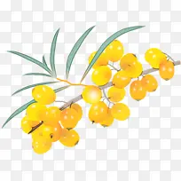 水彩画 颜料 湿墨-空若网 水彩画 颜料 湿墨-空若网