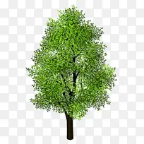 水彩 油漆 湿墨-空若网 水彩 油漆 湿墨-空若网