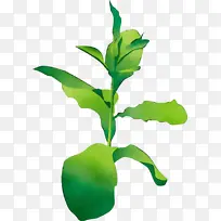 水彩画 颜料 湿墨-空若网 水彩画 颜料 湿墨-空若网