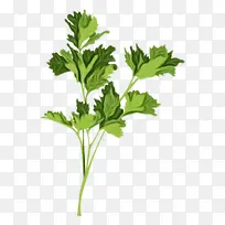 水彩画 油漆 湿墨水-空若网 水彩画 油漆 湿墨水-空若网