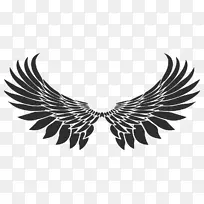 画版税-免翅膀-空若网 画版税-免翅膀-空若网