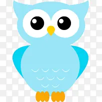猫头鹰 水族 鸟-空若网 猫头鹰 水族 鸟-空若网