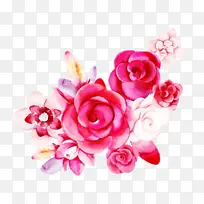 粉色 花朵 玫瑰-空若网 粉色 花朵 玫瑰-空若网