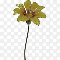 �� ����ֲ�� ֲ��-������