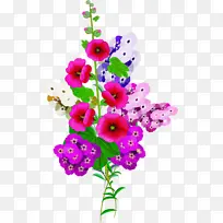 ���� ����ֲ�� ֲ��-������