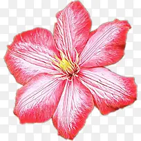 卡通 花瓣 花朵-空若网 卡通 花瓣 花朵-空若网