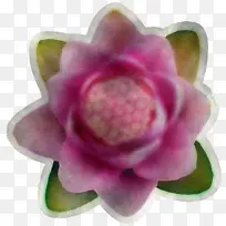 ���� ��ɫ ����-������