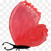 纸蝴蝶水彩画蜡笔水彩画蝴蝶-空若网 纸蝴蝶水彩画蜡笔水彩画蝴蝶-空若网