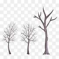 树木 树枝 细枝-空若网 树木 树枝 细枝-空若网