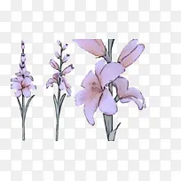 ²É¹º²úÆ·¿ª»¨Ö²Îï »¨ Ö²Îï-¿ÕÈôÍø ²É¹º²úÆ·¿ª»¨Ö²Îï »¨ Ö²Îï-¿ÕÈôÍø